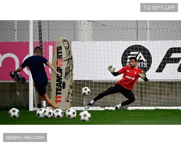 斯图加特中场新星崛起，组织能力全面提升引领球队进攻新风潮