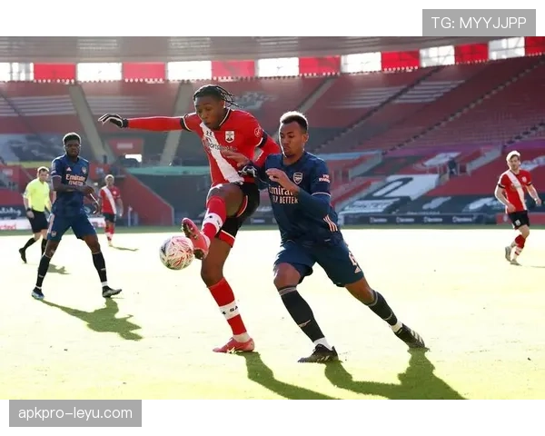 南安普顿足总杯上演逆袭好戏，顽强斗志与团队精神闪耀赛场