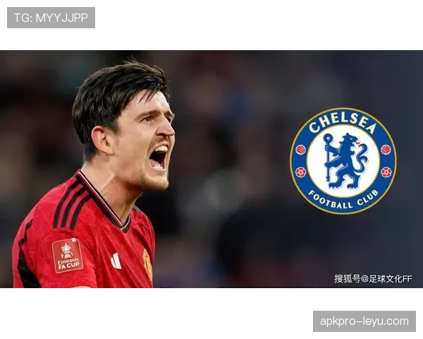 布伦特福德调整转会策略，聚焦年轻潜力新星以增强球队竞争力