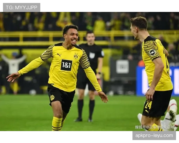 德甲大黄蜂 德甲大黄蜂