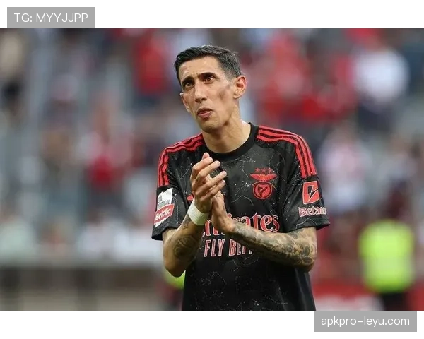 迪马利亚重返本菲卡:生涯回归解析 迪马利亚重返本菲卡:生涯回归解析