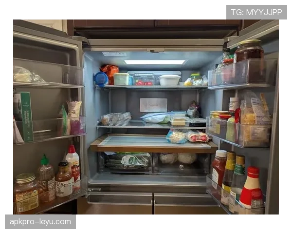 张博恒家的冰箱里居然只有水和蛋白粉?