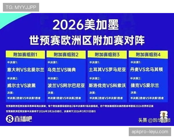 波黑队能否重返2026世界杯？晋级前景与阵容分析